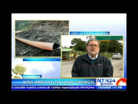 Daños ambientales por ataques terroristas en Colombia deben ser “punibles”: experto en NTN24