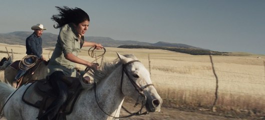 Pocha: Manifest Destiny (2015) Full Movie HD 1080p