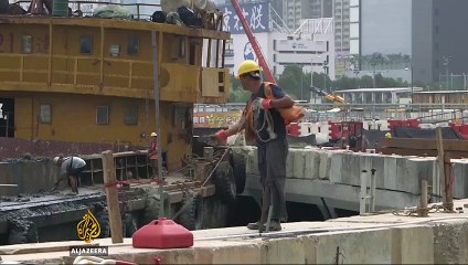 Hong Kong coral reef thrives despite pollution