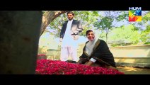 Ishq Ibadat Last Episode 49 Full HUM TV Drama 13 Oct 2015