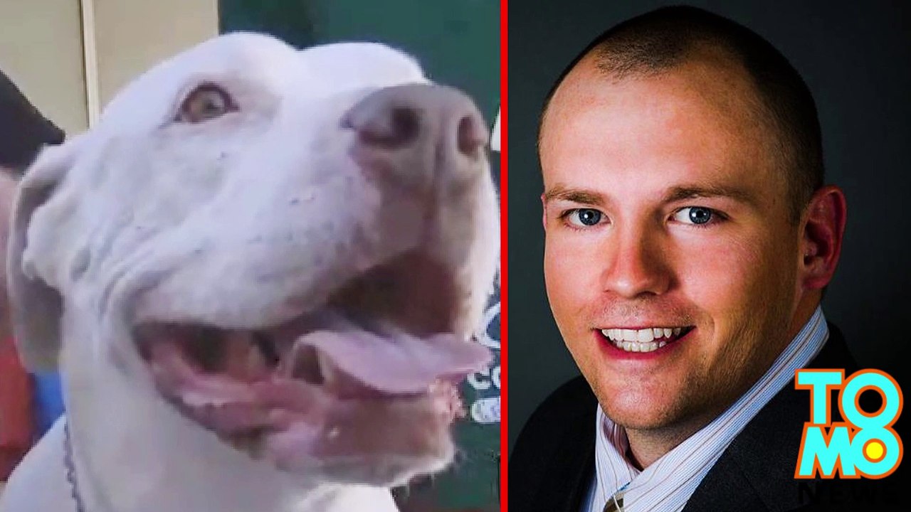 This Army veteran saved this adorable pit bull from a vicious beatdown in Las Vegas