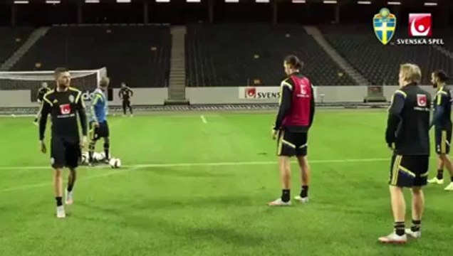 Zlatan Ibrahimovic Insane goal at Sweden training - football videos 2015