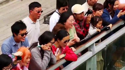 Would you like to try it? daring sports