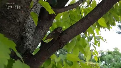 pm수원출장안마【010↔2156↔4195】⑵수원출장마사지 샤랄라style【안양출장안마】