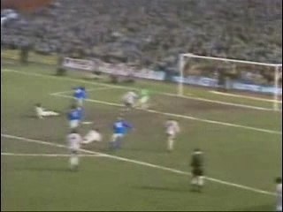 Top Picks for the Best 🌟