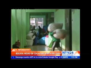 Bolivia repartirá  bolsas con coca entre los fieles presentes durante la visita del papa Francisco