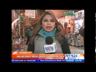 ONU: cultivo de coca alcanzó su nivel más bajo pero aumentó el consumo de cocaína en Suramérica