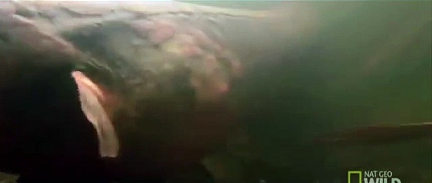 kz성남출장안마【010↔2156↔4195】⑵성남출장마사지 핑크lady【분당출장안마】