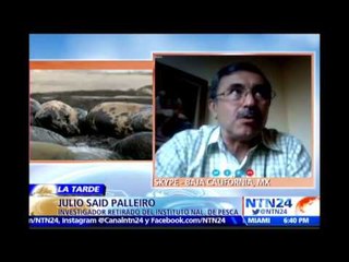 Hay daños en los océanos "difíciles de restaurar": expdte de la Asociación de Oceanólogos de México