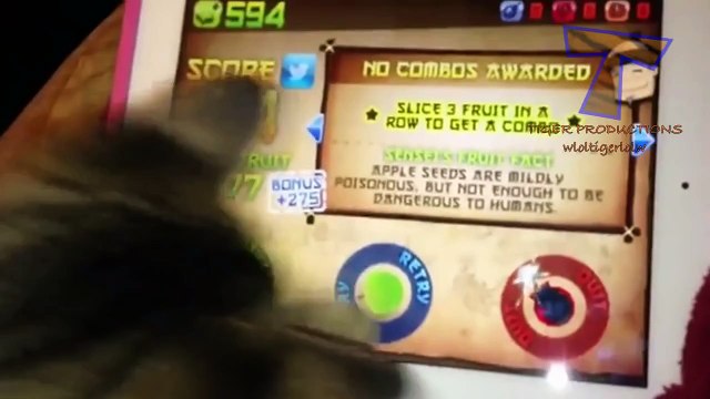 Pets playing video games - Funny animal compilation