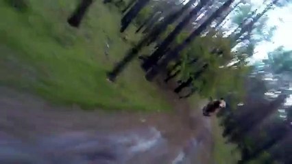 Uomo attaccato da un orso: guardate come riesce a salvarsi!