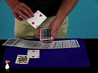 Profesyonel Sihirbazlık numaraları Magic 24