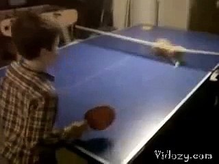kitty playing ping pong