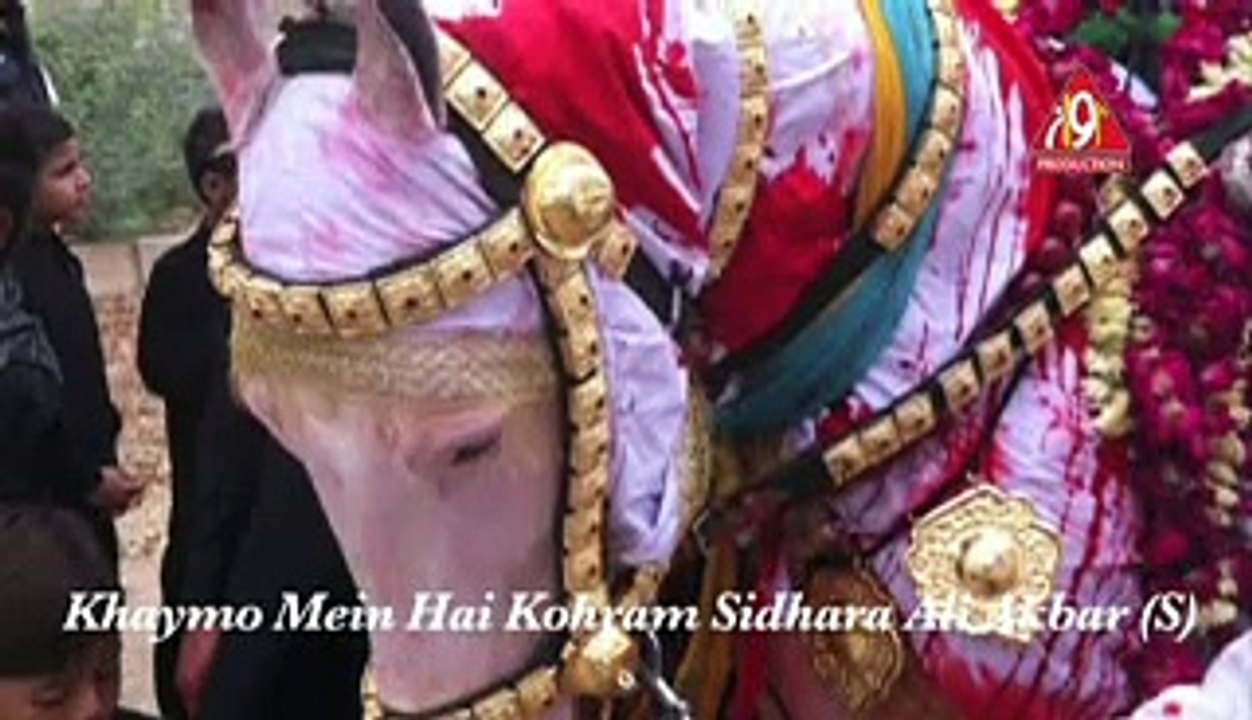 Khaymo Mein Hain Kohram Sidhara Ali Akbar