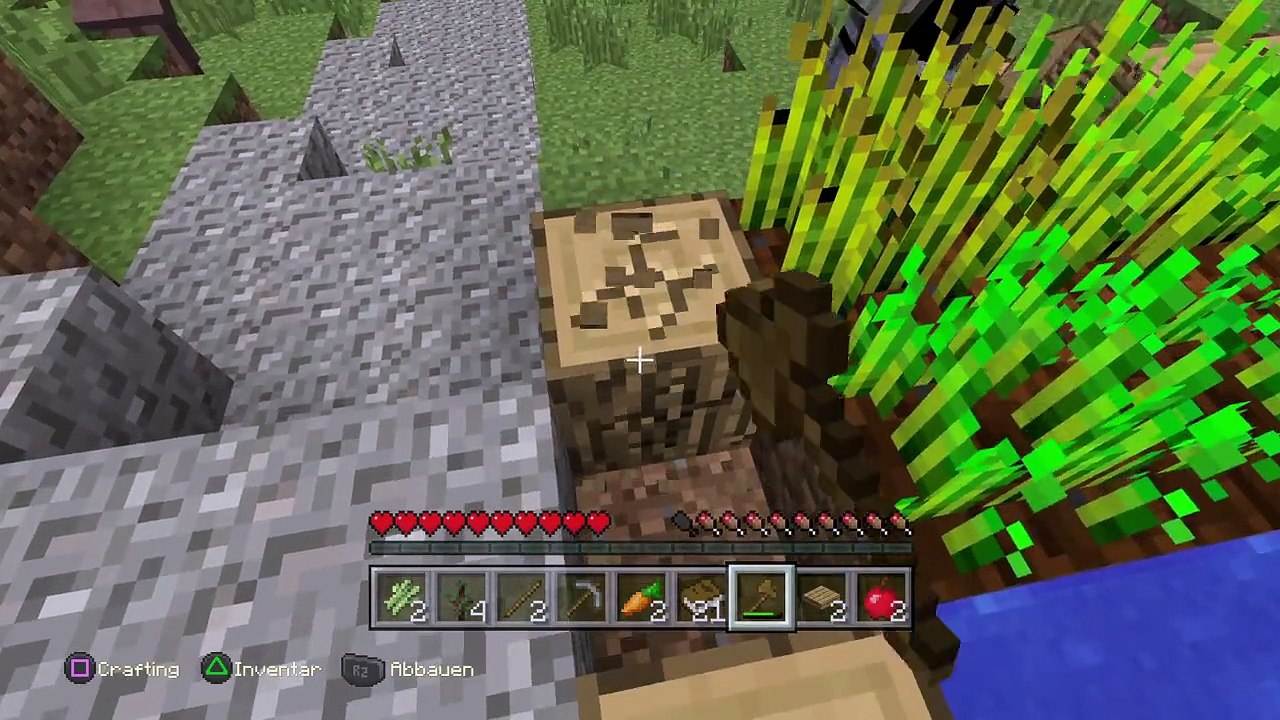 Minecraft: playstation