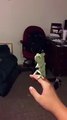 Funny Lizard Pops Bubbles