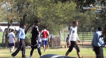 Osos burlaron puerta cerrada de Tigres