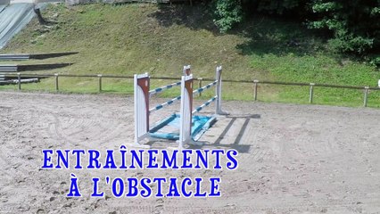 Les écuries de Trangy sport études