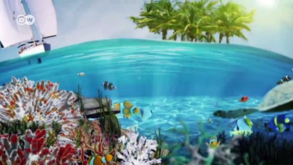 Conservation in the Caribbean | Global 3000