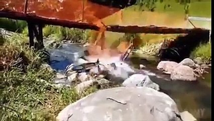 موڈ اچھا کرنے کےلیے یہ مزاحیہ کلپس ضرور دیکھیے