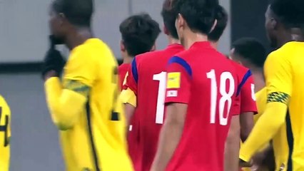 Ji Dong Won Goal ~ South Korea vs Jamaica 1-0