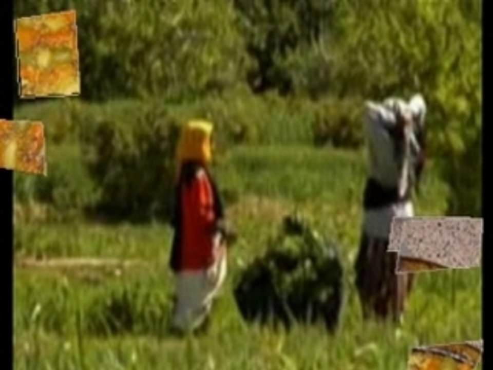 TIWTMIN TIMAZIGHIN