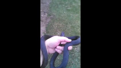 Wife Scares Husband With Pet Snake