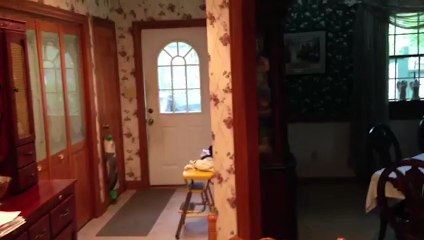 Amazing Dog Can Open And Close Doors!
