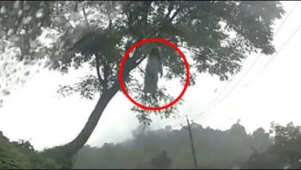 Ghost hanging on tree | Real Ghost Videos