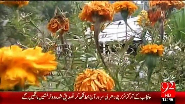 PKG Marghzar, White Palace, Swat valley Pakistan By Abdullah Sherin 92 News swat