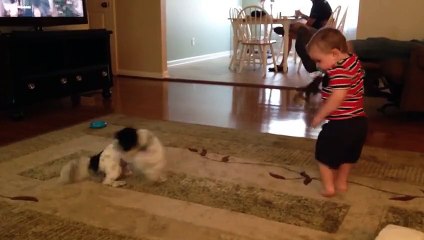 Toddler And Dog Both Chase Their Tails