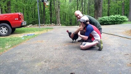 A Chicken Is One Way To Pull A Loose Tooth