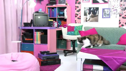 ‪Adopt me: The cross eyed kitty‬