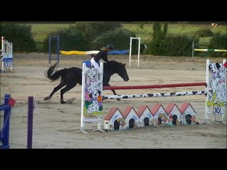 Ecuries Julie Le Guern: Rockstar de Fleyres a vendre