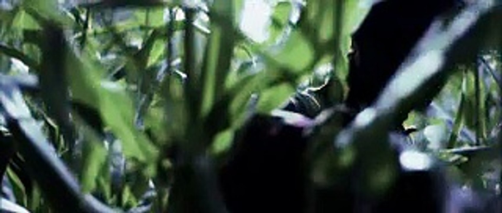 A Nightmare In Germany   Trailer 2015