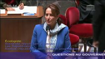 Ligne Lyon-Turin : Ségolène Royal répond à une question au Gouvernement