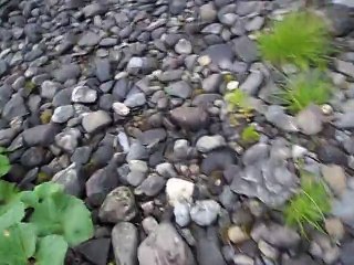 айрлайнфутурэ20-11 (3) - копия