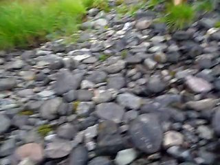 айрлайнфутурэ20-11 (7) - копия