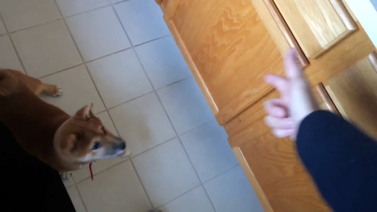 Kibo, spread 'em