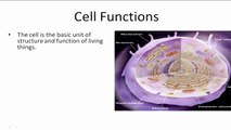 Cells and their Organelles - Example 1