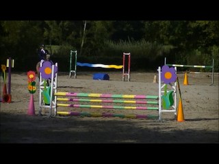 Ecuries Julie Le Guern: Boticelli de Rohan a vendre