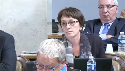 Céline TONOT. Aménagement numérique (SPL). 12 octobre 2015