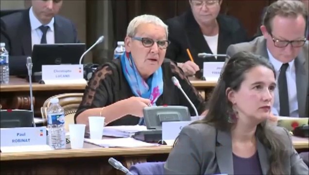 Colette POPARD. Personnes âgées et internalisation MAIA. 12 octobre 2015