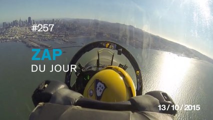 ZAP DU JOUR #257 : Un vélo appât pour piéger les voleurs / Je l'aurai un jour, je l'aurai ! / Un chat boxeur /
