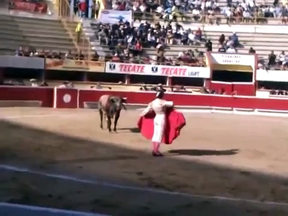 Bullfight in Tijuana September 2011 Hilda Tenorio