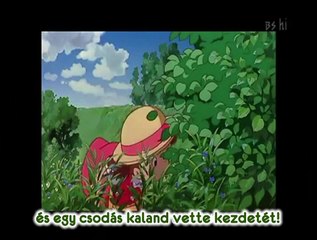 Matsuura Aya - Tonari no tororo HUN SUB