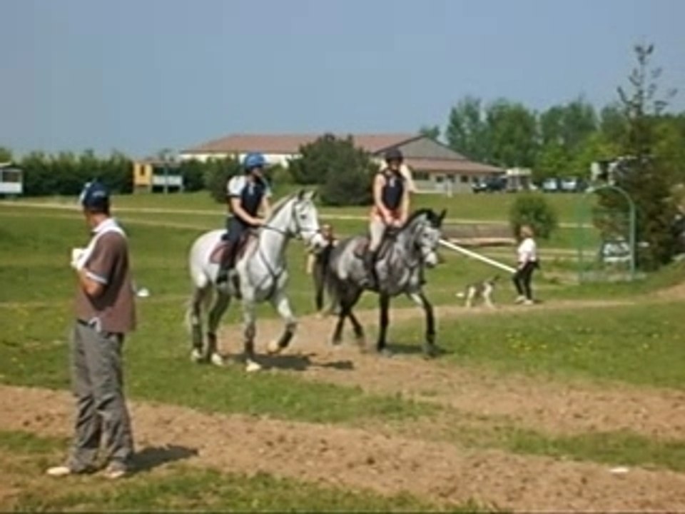 détente du cross