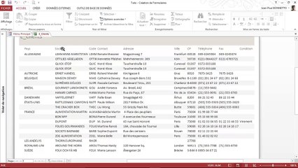 Access - Tutoriel et Formation - Générer des rapports ou états (Module 11)