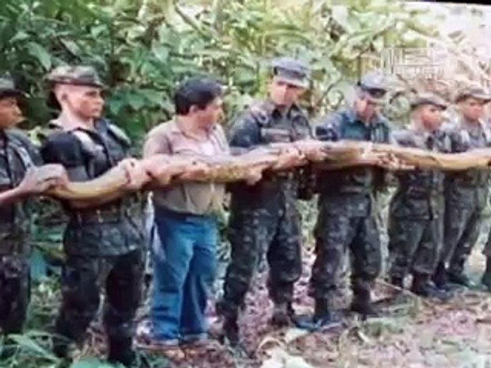 Anaconda Attacks TV Host-9Fv0mAOHQho