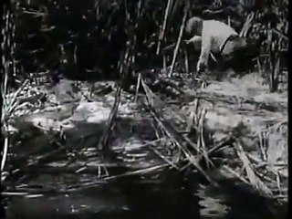 20,000 Leagues Under the Sea (1916) - full movie Part 2